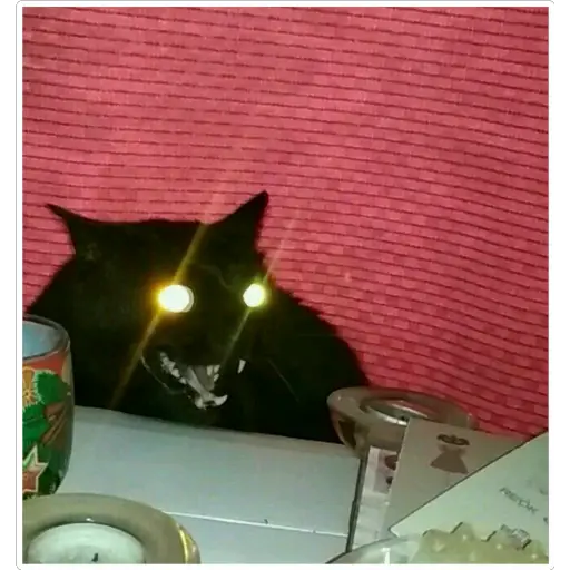 GatosFaces✧◝(⁰▿⁰)◜✧ 