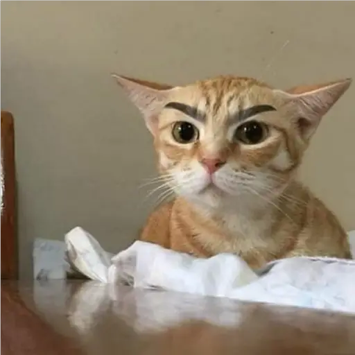 GatosFaces✧◝(⁰▿⁰)◜✧ 