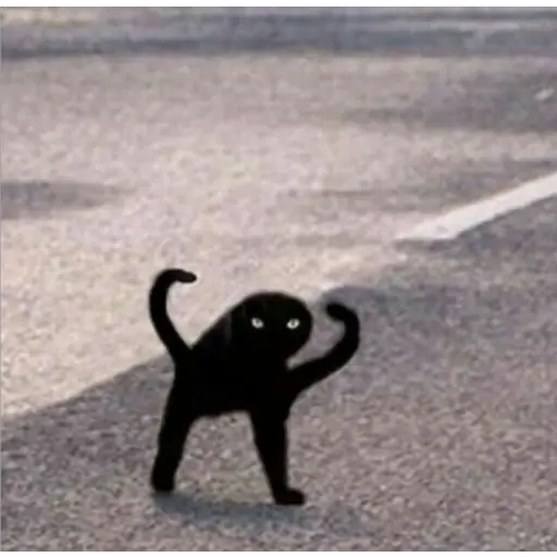 GatosFaces✧◝(⁰▿⁰)◜✧ 