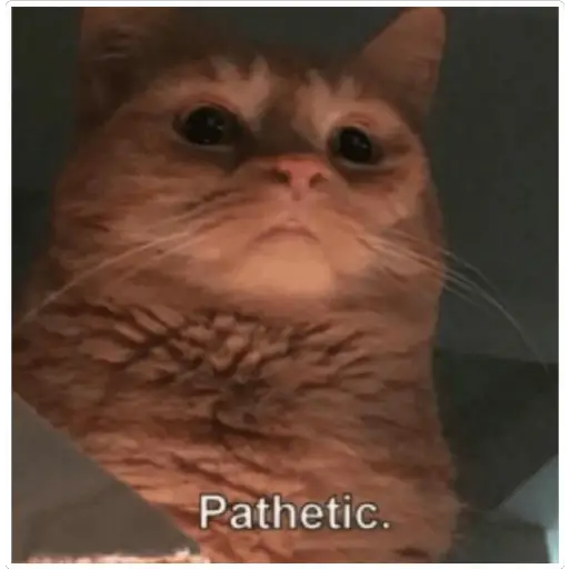 GatosFaces✧◝(⁰▿⁰)◜✧ 