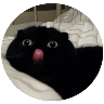 GatosFaces✧◝(⁰▿⁰)◜✧ 
