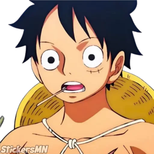 One Piece ☠