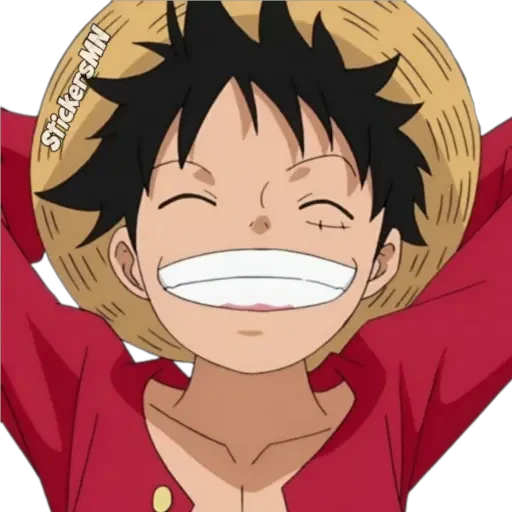 One Piece ☠