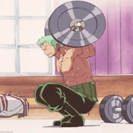 One Piece ☠ Zoro - Mov