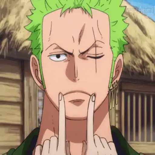 One Piece ☠ Zoro - Mov