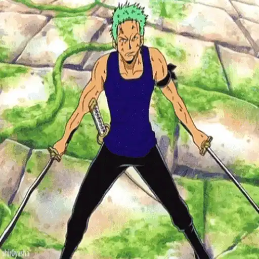 One Piece ☠ Zoro - Mov