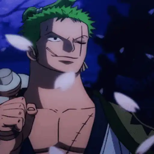 One Piece ☠ Zoro - Mov