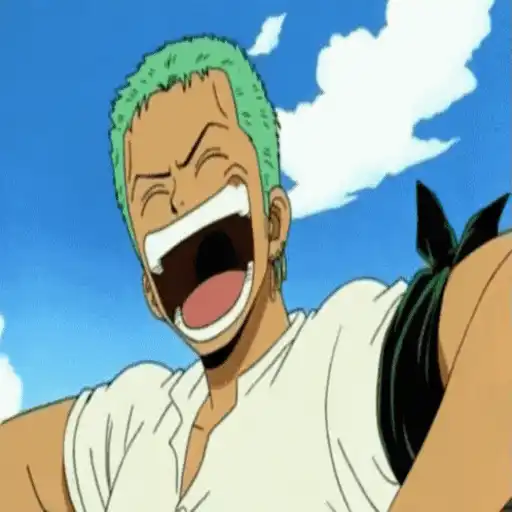 One Piece ☠ Zoro - Mov