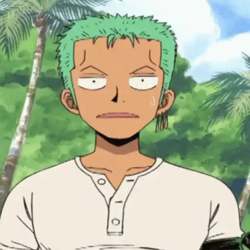One Piece ☠ Zoro - Mov
