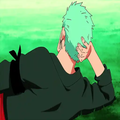 One Piece ☠ Zoro - Mov
