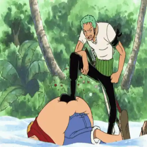 One Piece ☠ Zoro - Mov