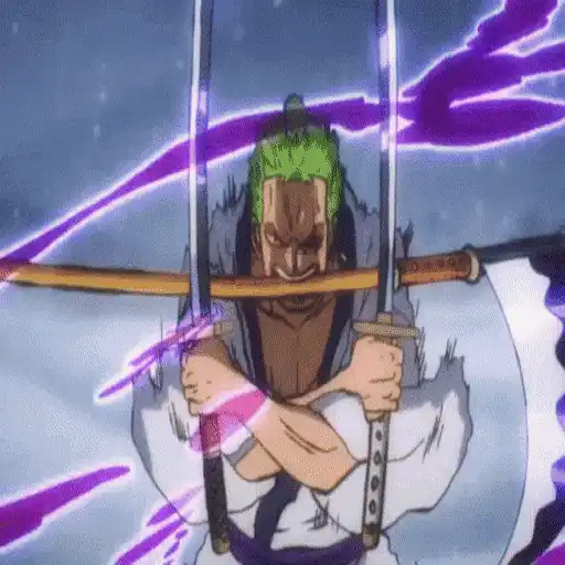 One Piece ☠ Zoro - Mov