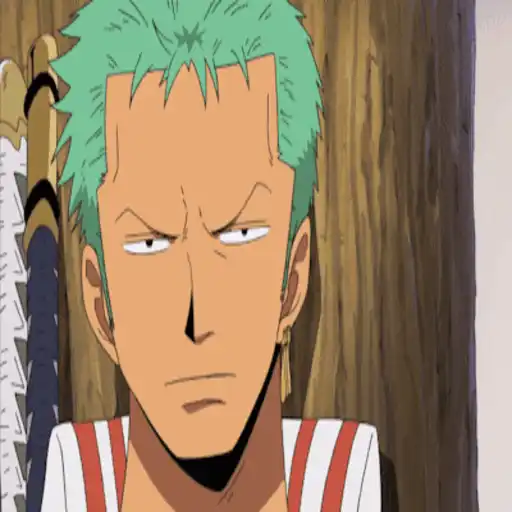 One Piece ☠ Zoro - Mov