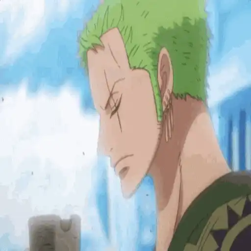 One Piece ☠ Zoro - Mov