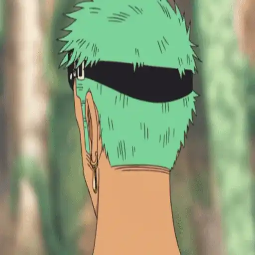 One Piece ☠ Zoro - Mov