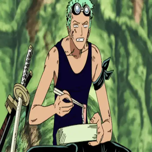 One Piece ☠ Zoro - Mov