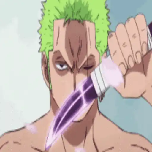 One Piece ☠ Zoro - Mov