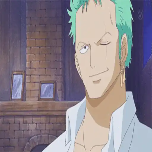One Piece ☠ Zoro - Mov preview