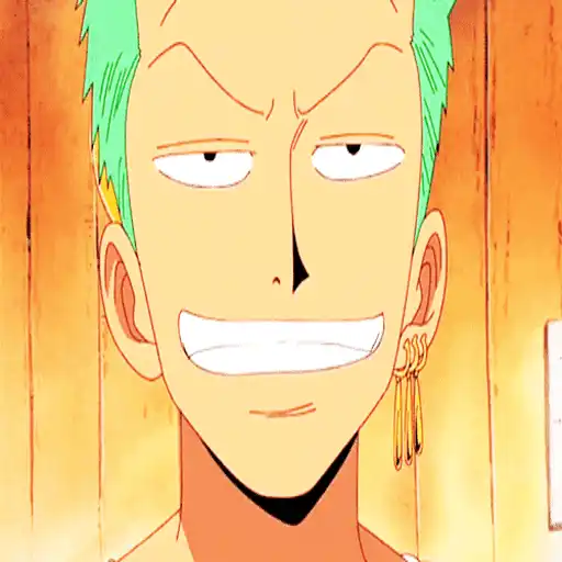 One Piece ☠ Zoro - Mov