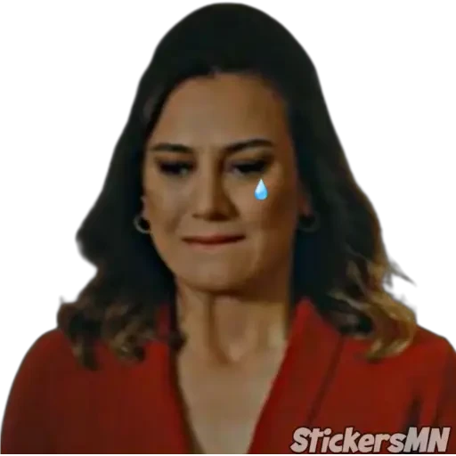 My Home My Destiny 🇹🇷 preview