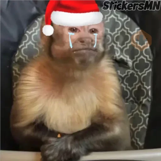 Memes Del Monito🐵🐒 sticker 20
