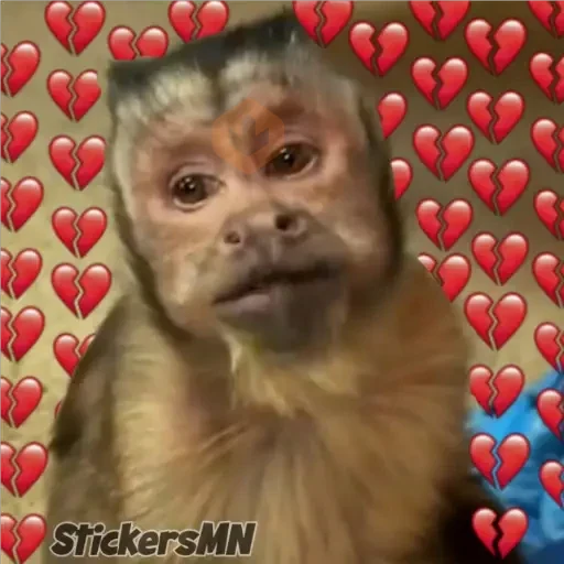 Memes Del Monito🐵🐒 sticker 18