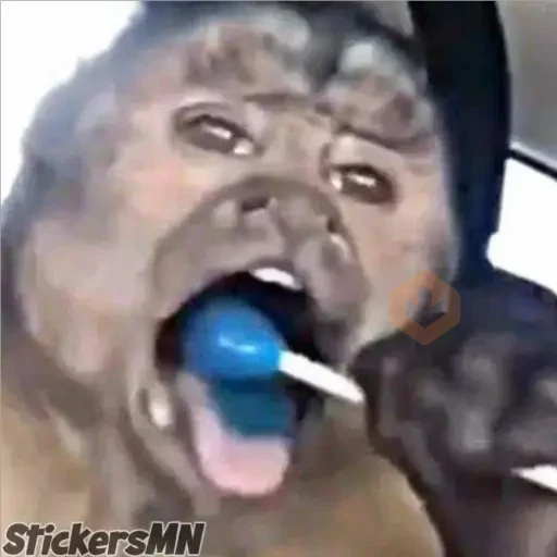 Memes Del Monito🐵🐒 sticker 12