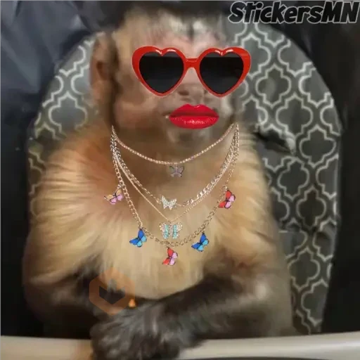 Memes Del Monito🐵🐒 sticker 14