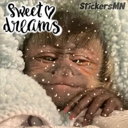 Memes Del Monito🐵🐒 sticker 15