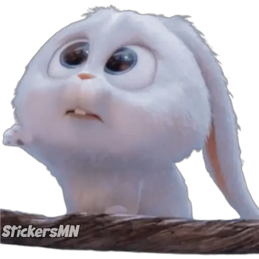 Snowball 🐰