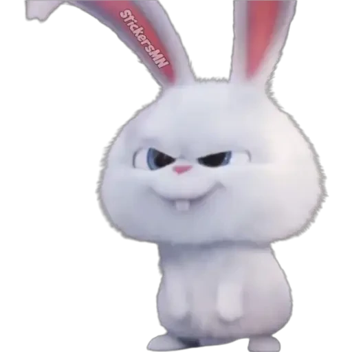 Snowball 🐰
