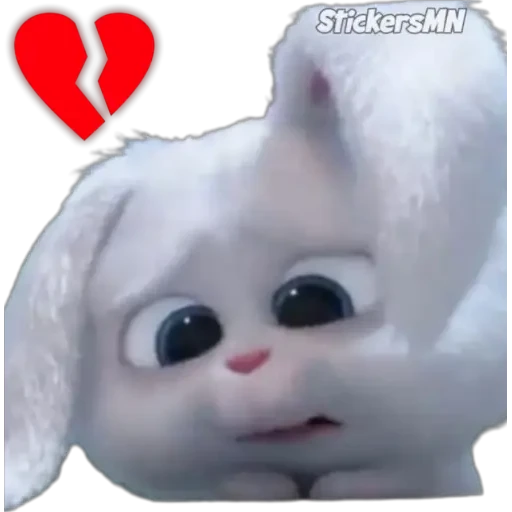 Snowball 🐰