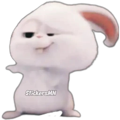 Snowball 🐰