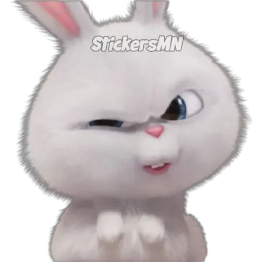 Snowball 🐰