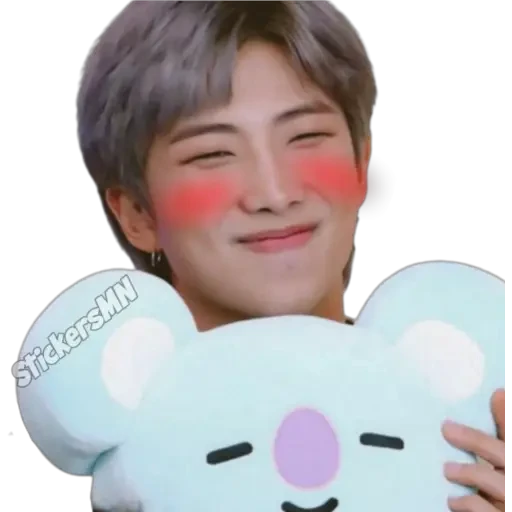 RM - BTS 🧑🏻‍🎤