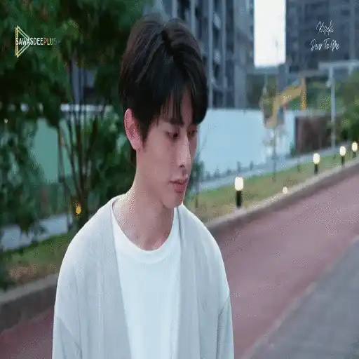 KisekiDearToMe🇹🇼ZongYi🍰Mov
