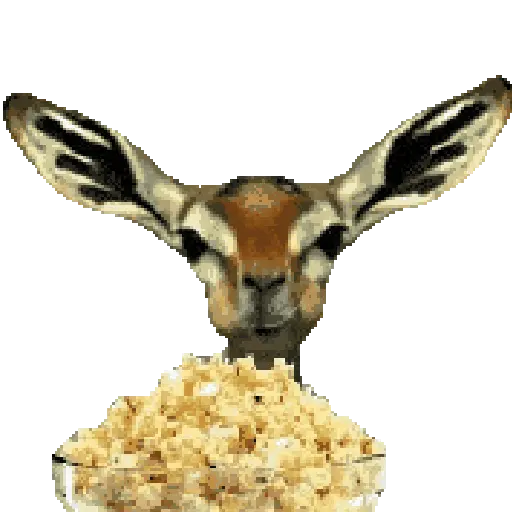 🔊cuenta chisme📢 🧃🍿