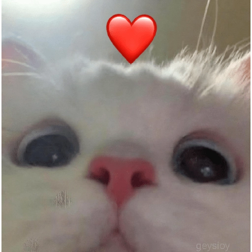 ❤️ Buenos días Amor 🥰Bza 
