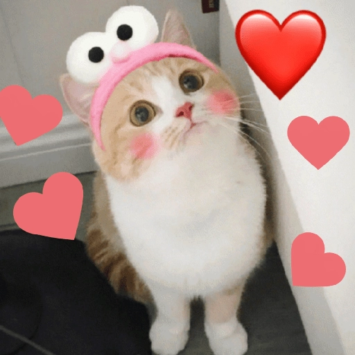 ❤️ Buenos días Amor 🥰Bza 
