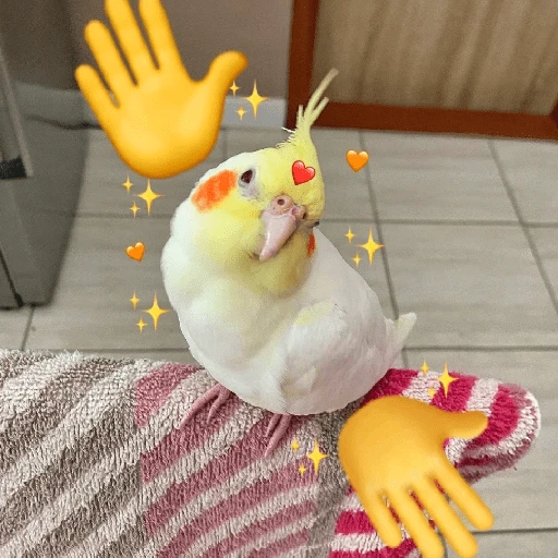 ❤️ Buenos días Amor 🥰Bza 
