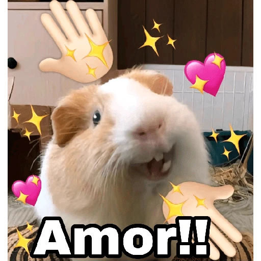 ❤️ Buenos días Amor 🥰Bza 
