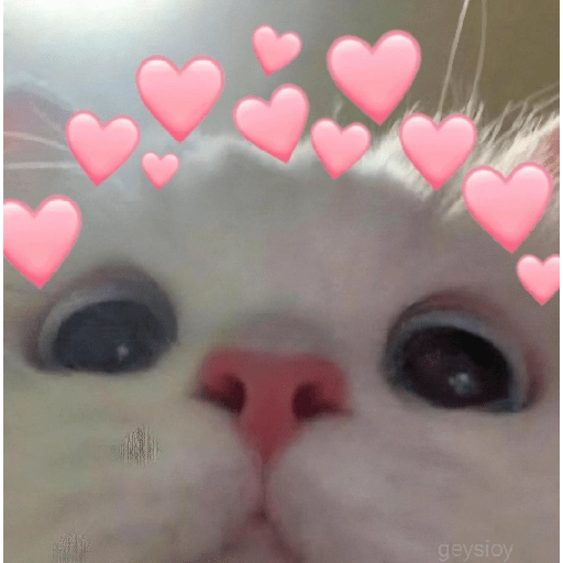 ❤️ Buenos días Amor 🥰Bza 
