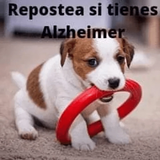 WhatsApp Stickers 2024 
