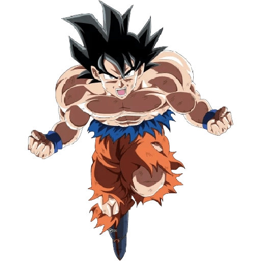 GOKU 💥🐲 

