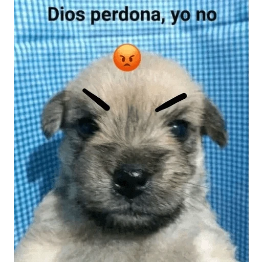 Que mira bobo 🤔🤑 

