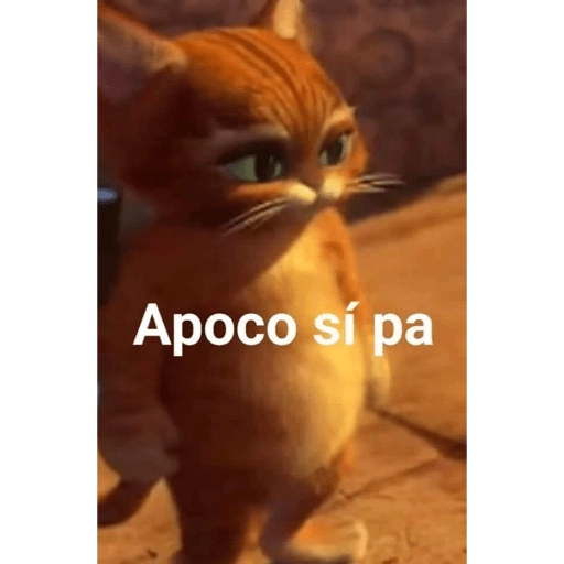 Al chile bro 🤣 

