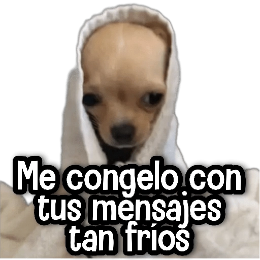 Reacciones Perritos! 🐕 
