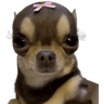tray-icon