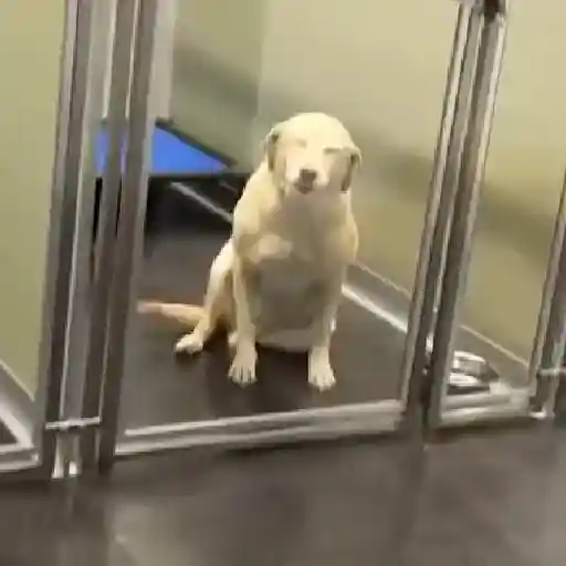 🎵 TIKTOKeando 22🎵 
