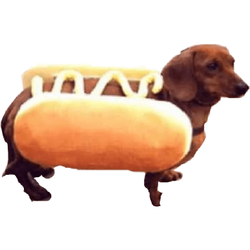 Hot Dog